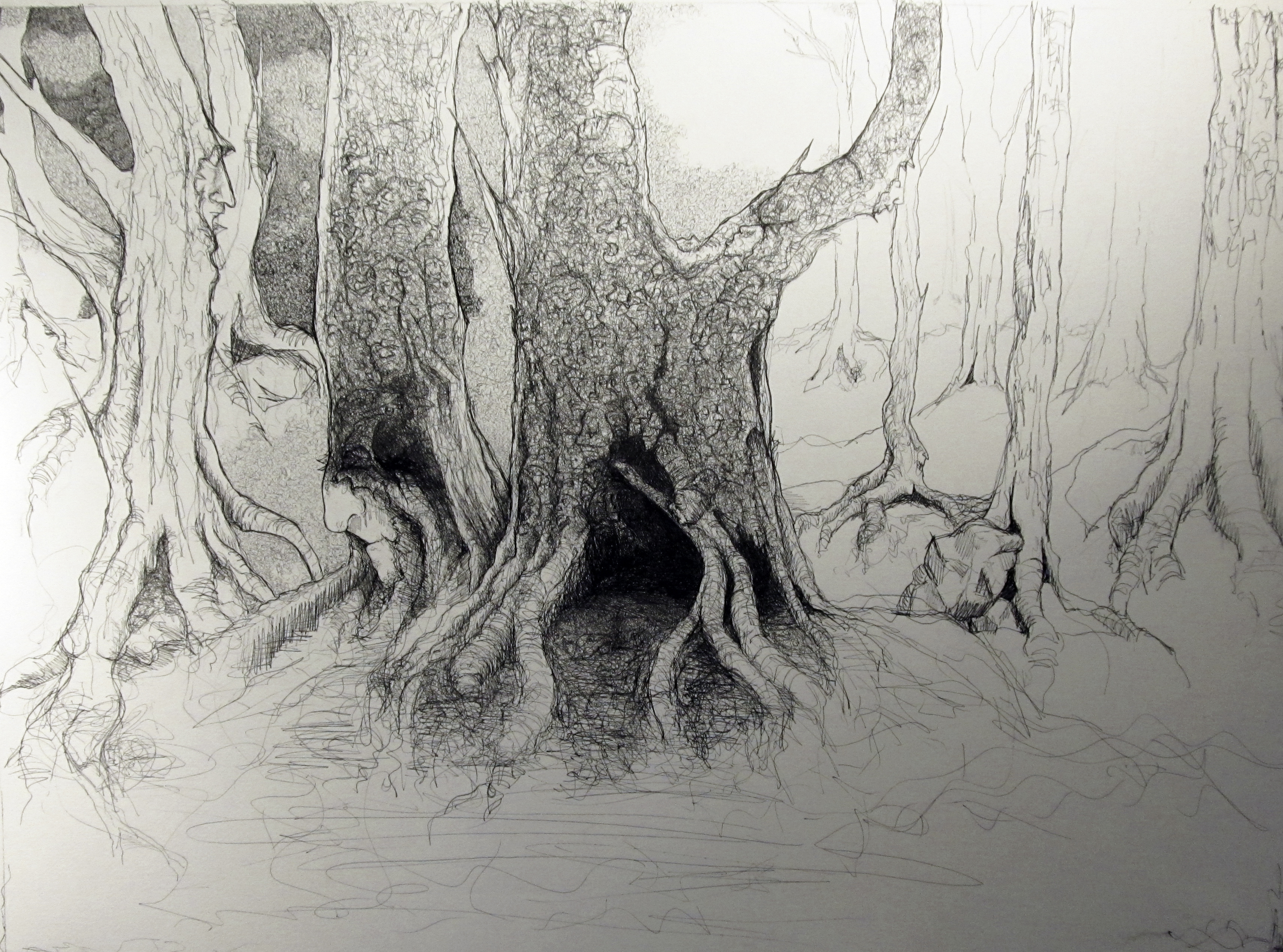 moving along... ©sme2015